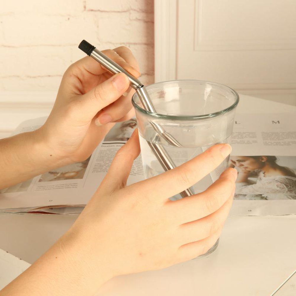 Collapsible Stainless Steel Straw With Case